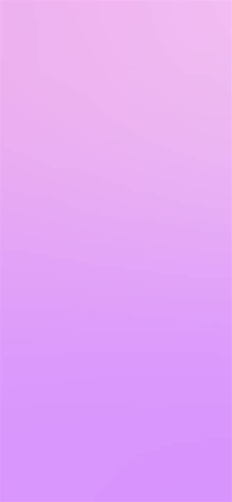 Sn91 Pink Shy Love Blur Gradation Wallpaper