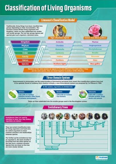 Classification Of Living Organisms Science Poster Science Poster