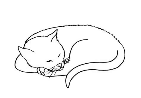How To Draw A Sleeping Cat Step By Step Easy Animals 2 Draw Cat