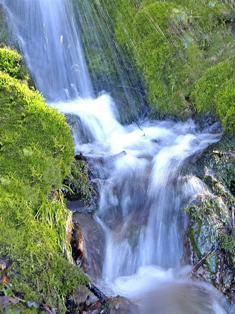Waterfall White Falling Waterfall Photo Background And Picture For Free