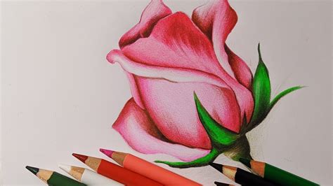 Como Dibujar Una Rosa F Cil Dibujos De Rosas Youtube