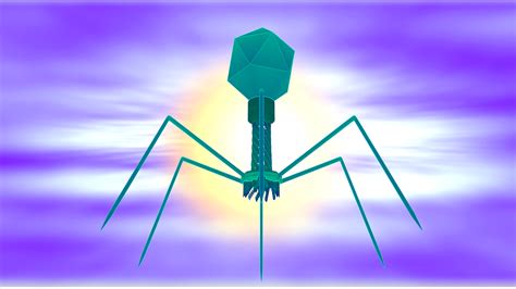 Urine itself does not contain dna, but. The New World of Urinary Phages: The Viruses Living in the ...