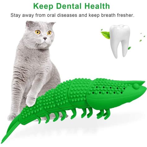 Cat Dental Toothbrush Catnip Toy