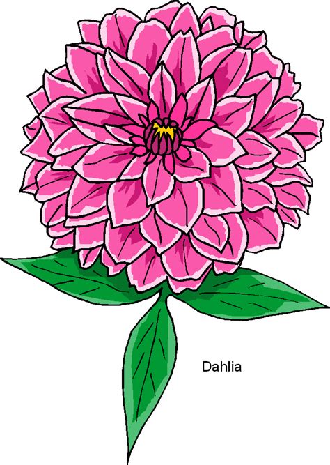 Beautiful Dahlia Cliparts Adding Elegance To Your Designs