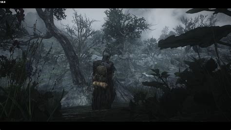 Dark Forest Meanderings At Skyrim Nexus Mods And Community