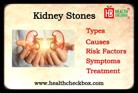 Kidney Stones Causes Symptoms And Treatment
