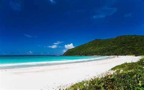 Fill your home with the most irresistible, beautiful fragrance today. Flamenco Beach in Culebra - MiguelGandia