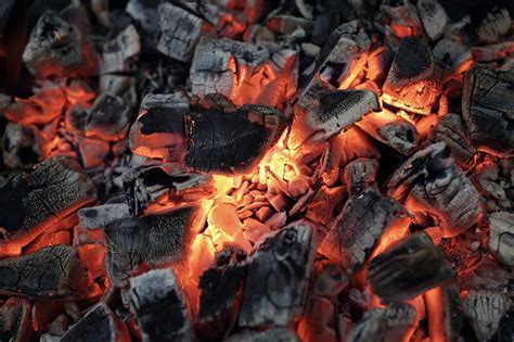 How Is Charcoal Made From Wood Green Olive Firewood