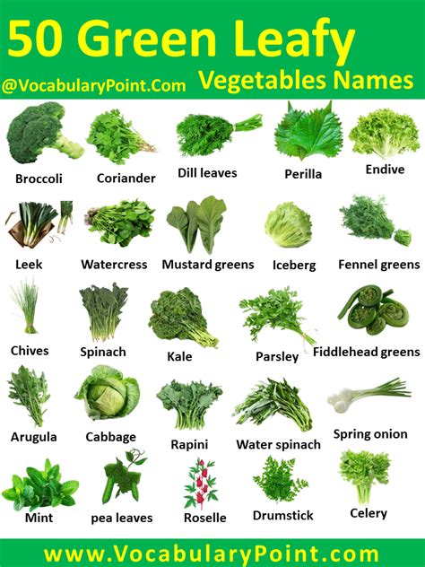 Green Leafy Vegetables Names