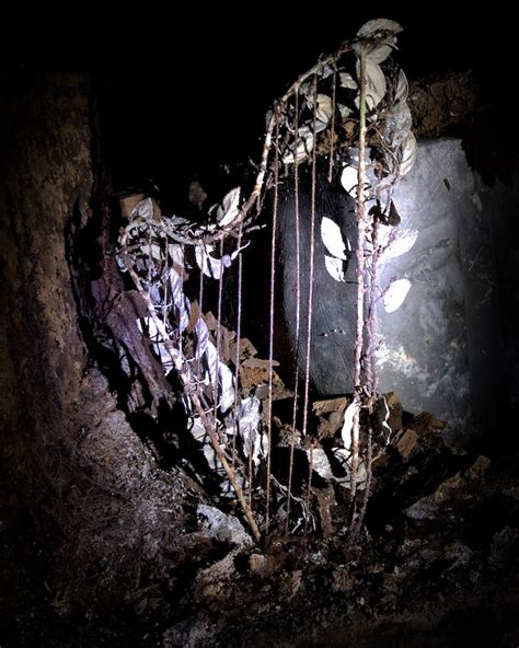 London Catacombs Flickr