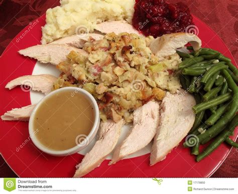 White Meat Turkey Bird Stock Photo Image Of Meal Dinner 17178850