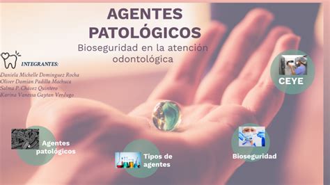 Agentes Patológicos By Daniela Rocha On Prezi