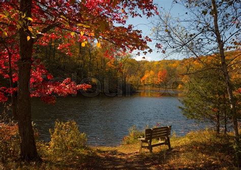 A Peaceful Autumn Scene With Colorful Stock Image Colourbox