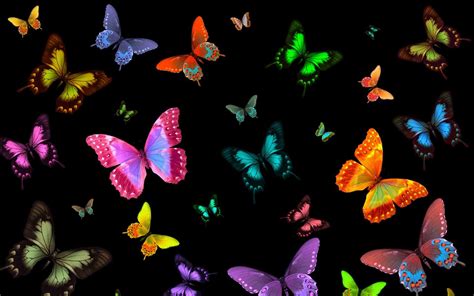 Backgrounds Wallpapers Butterflies Wallpaper Cave