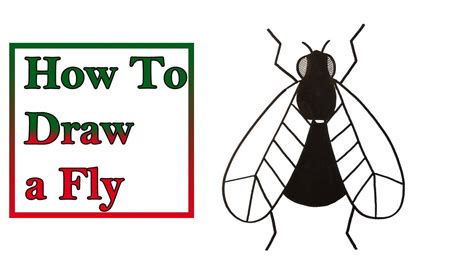 How To Draw A Fly Very Easy For Kids Youtube