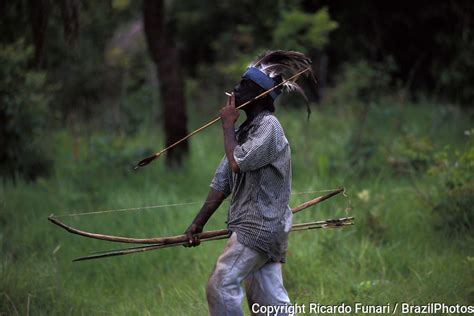 Guarani Kaiowas Indigenous People Brazil Photos