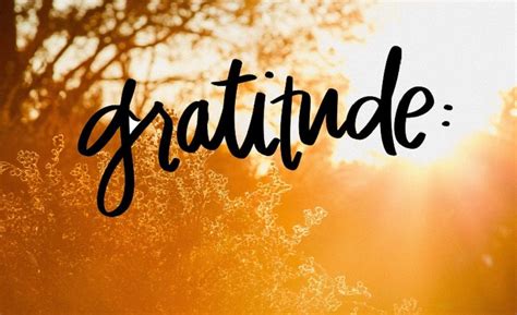 Pin By Maggie Williams On 2020 Growth Gratitude Fortune Passion