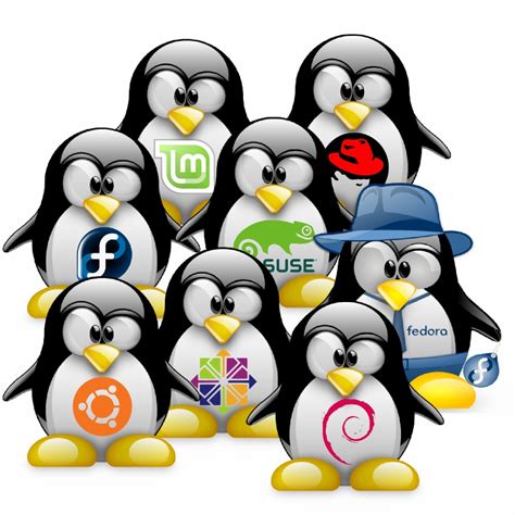 Chapter 3: Choosing a Linux Distribution — The Ultimate Linux Newbie Guide