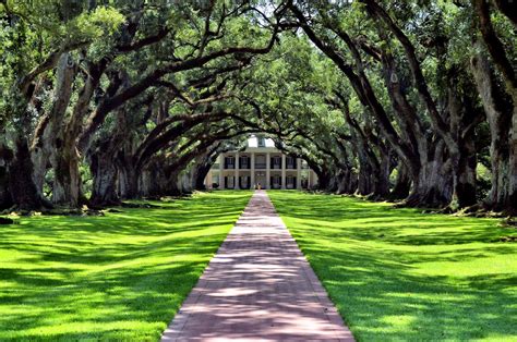 Room With No View Oak Alley Plantation An Iconic View Part One