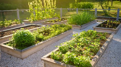How To Grow A Sustainable Garden Build Magazine
