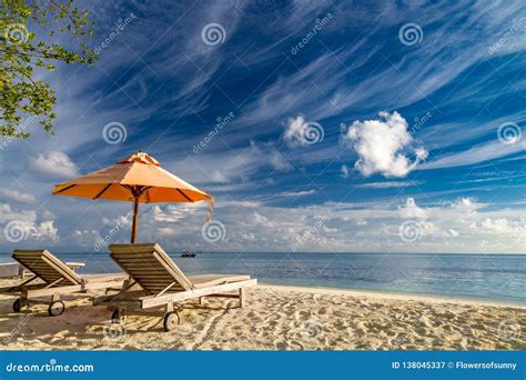 Beautiful Beach Scene Tropical Landscape Chaise Lounge Concept Stock