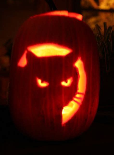 21 Incredible Cat Pumpkin Carvings Catster