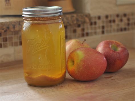 Fermented Apple Juice Homemade Mommy