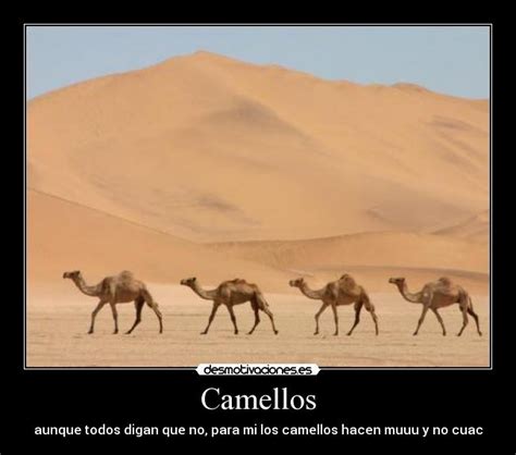 Arriba 105 Foto Que Comen Los Camellos Del Desierto Lleno