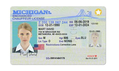 Buy Michigan Fake Drivers License