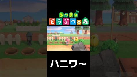 【あつ森】おすすめのおもしろい壁紙 Shorts Animalcrossing あつ森 動画まとめ