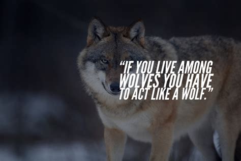 105 Inspirational Quotes About Wolves And Strength Best