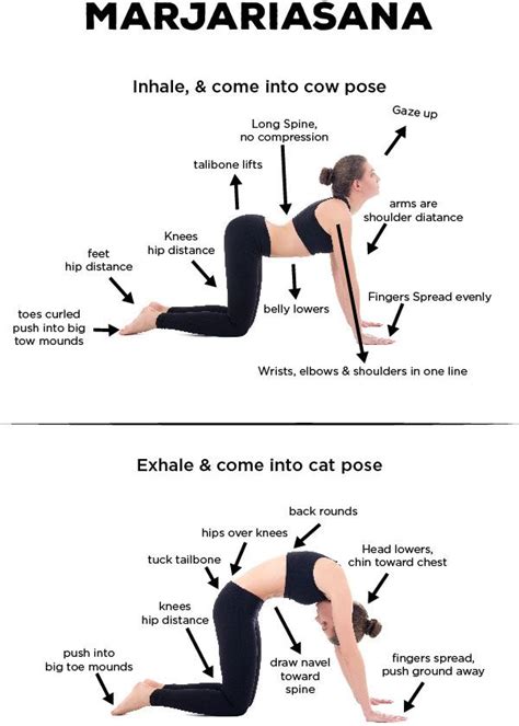 Yoga For Spinal Cord Yoga Poses For Spinal Alignment Health