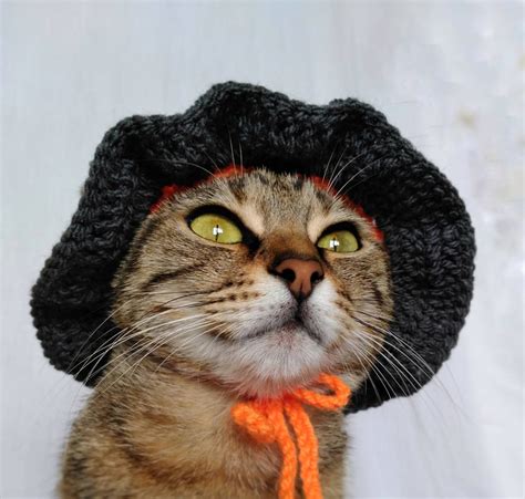 Witch Hat For Cat Halloween Witch Pet Costume Fairy Cat Etsy