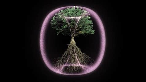 Toroidal Energy Fields Exist Around Every Thing Cells People Trees