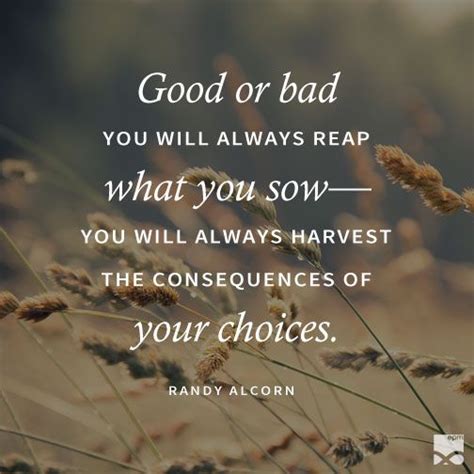 “good Or Bad You Will Always Reap What You Sow—you Will Always Harvest