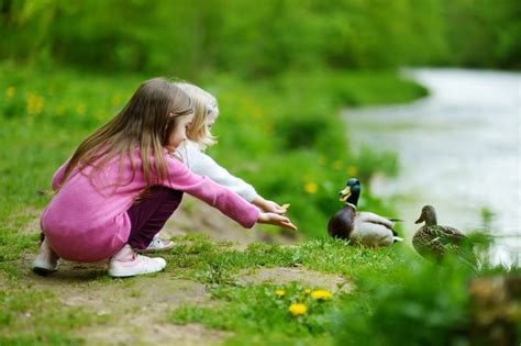 What A Walk In The Park Really Looks Like With Young Kids