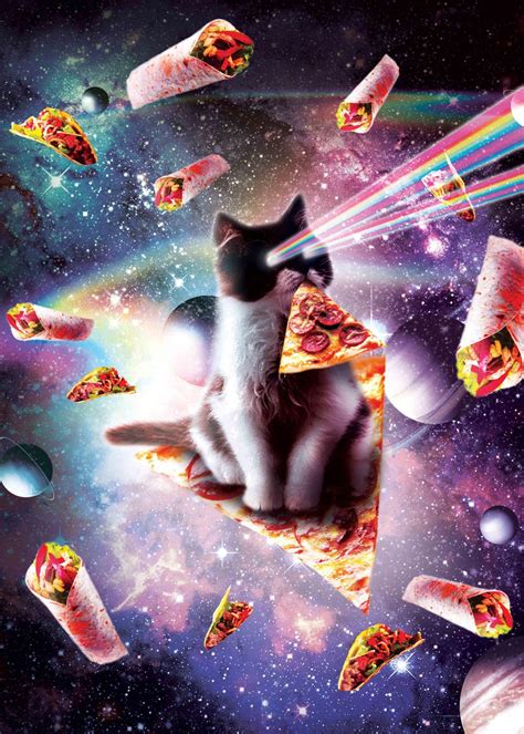 Outer Space Pizza Cat Poster By Random Galaxy Displate