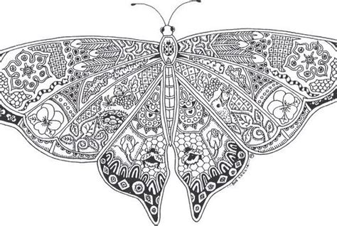 Beautiful Adult Coloring Pages Printable Butterfly 3116