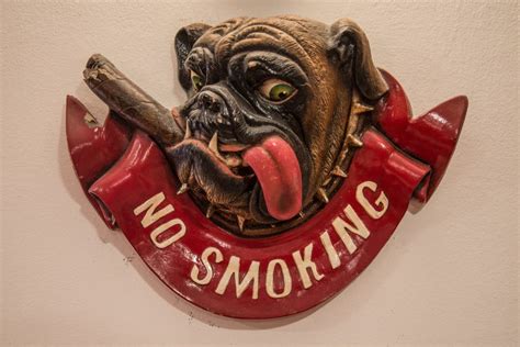 Smoking Cigarette Cigar Dog 585564 Lexcar