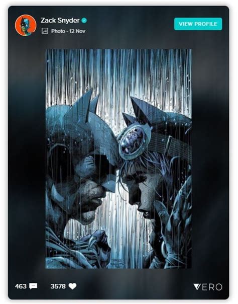 Zack Snyder Batman Catwoman
