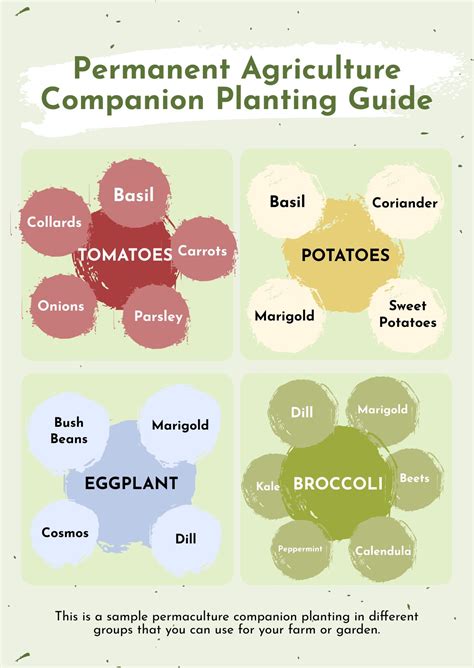 Free Companion Planting Chart Template Download In Pdf Illustrator