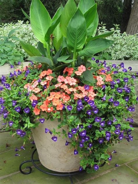 28 Stunning And Beautiful Flowers For Outdoor Pots Ideas 2019 11