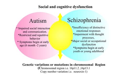 Comparative Genomics Of Autism And Schizophrenia