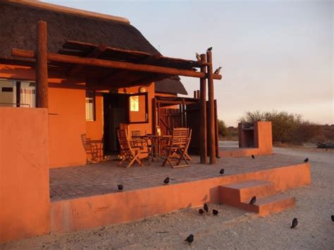 nossob rest camp updated 2018 lodge reviews kgalagadi transfrontier park south africa
