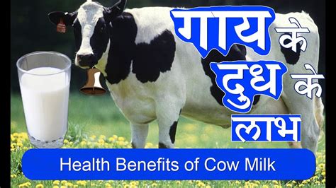 गाय के दूध के लाभ Health Benefits Of Cow Milk For Brain And Skin In Hindi Youtube