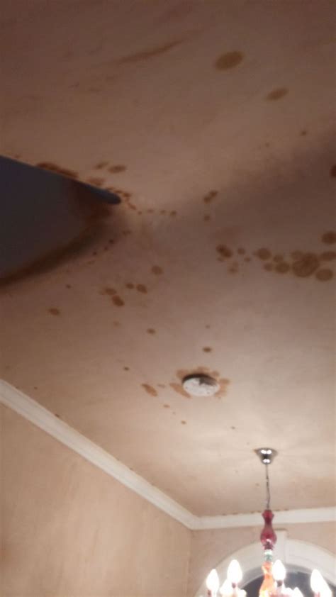 Kilz and zinsser both offer ceiling paints for this purpose. totally-twisted: Old Water Stain On Ceiling