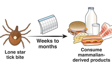 Ticks Ick The Latest Science On The Red Meat Allergy Caused By Some