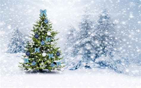 Snow Christmas Tree Wallpapers Wallpaper Cave