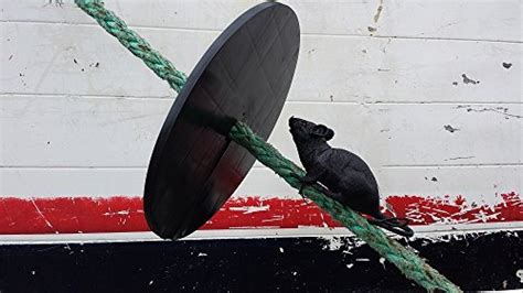 Rat Guards Prevent Rats And Mice From Climbing Aboard Your Boat Or In