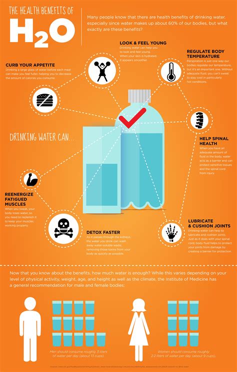 Health Benefits Of Water Infographic Elevate Fitness